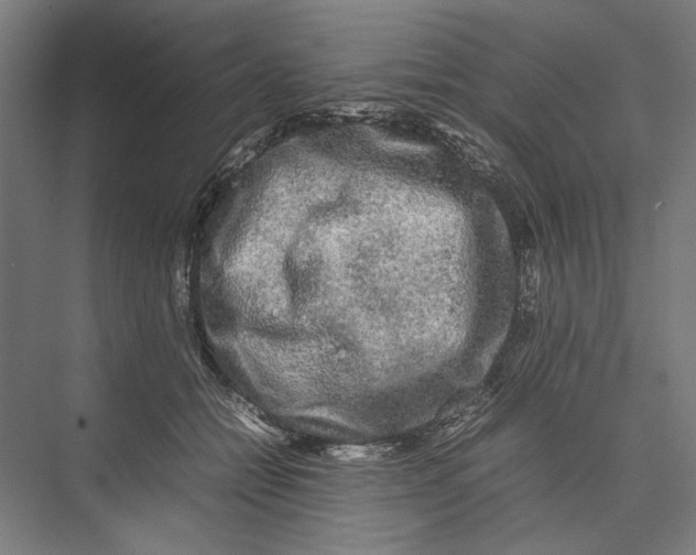 X0000075380558200610061842