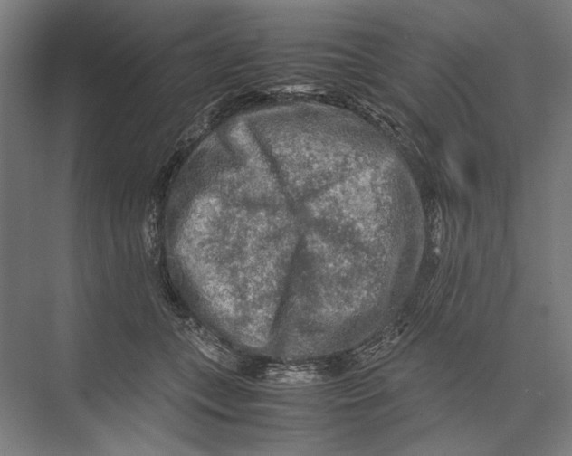 X0000075380559200610061842