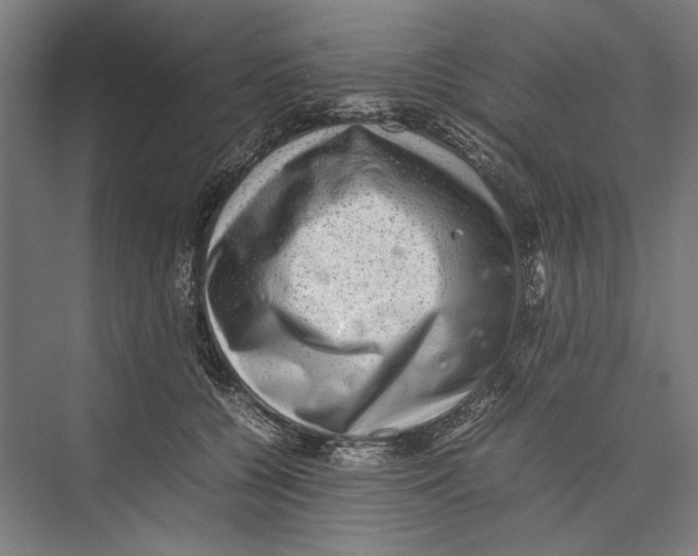 X0000075380560200610061842