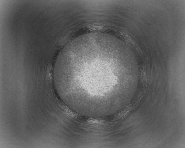 X0000075380561200610061842