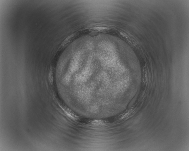 X0000075380562200610061842