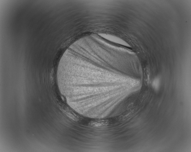 X0000075380563200610061842