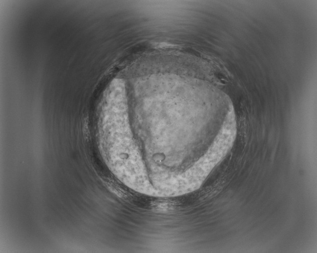 X0000075380564200610061842