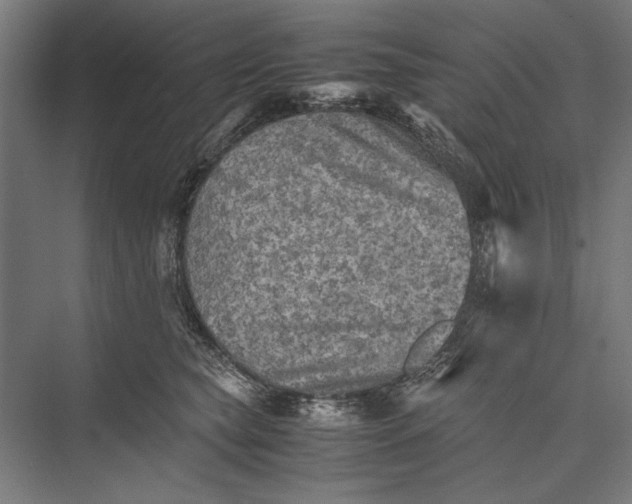 X0000075380565200610061842