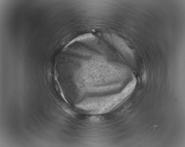 X0000075380566200610061842