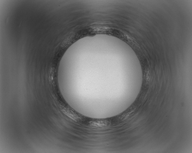 X0000075380567200610061842