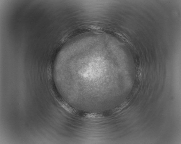 X0000075380568200610061842