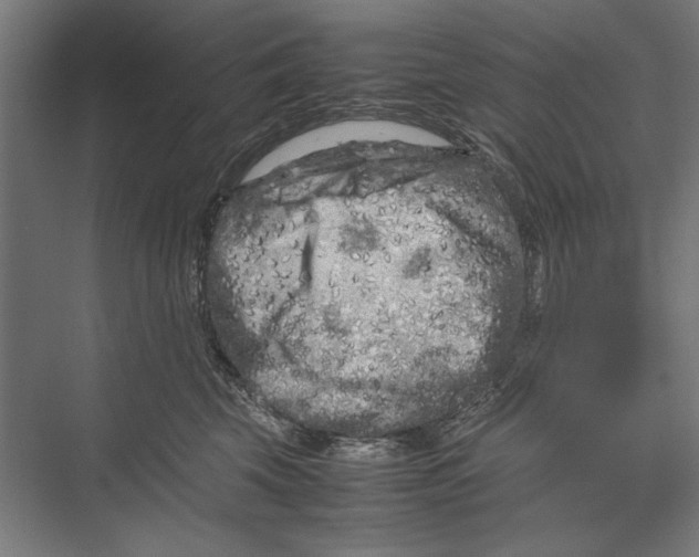 X0000075380569200610061842