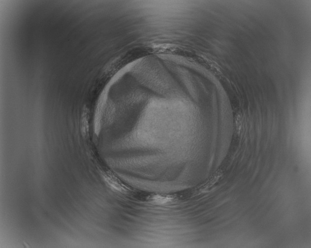 X0000075380570200610061842