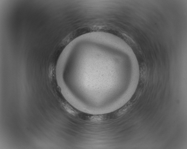 X0000075380574200610061842