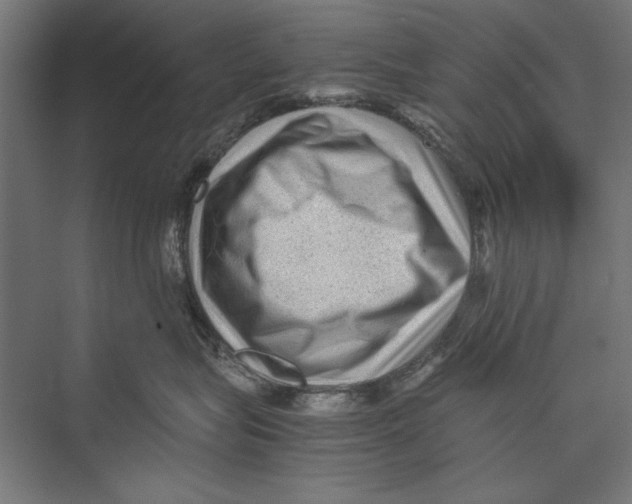 X0000075380575200610061842