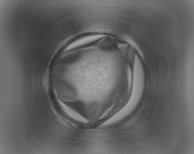 X0000075380580200610061841