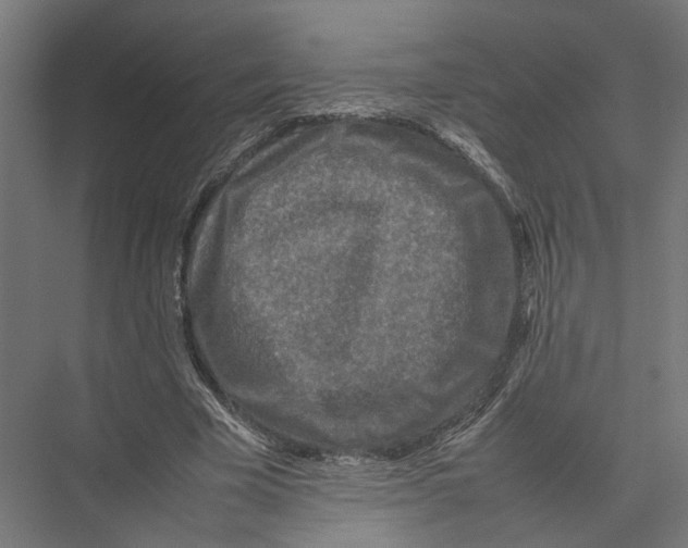 X0000075380585200610061841