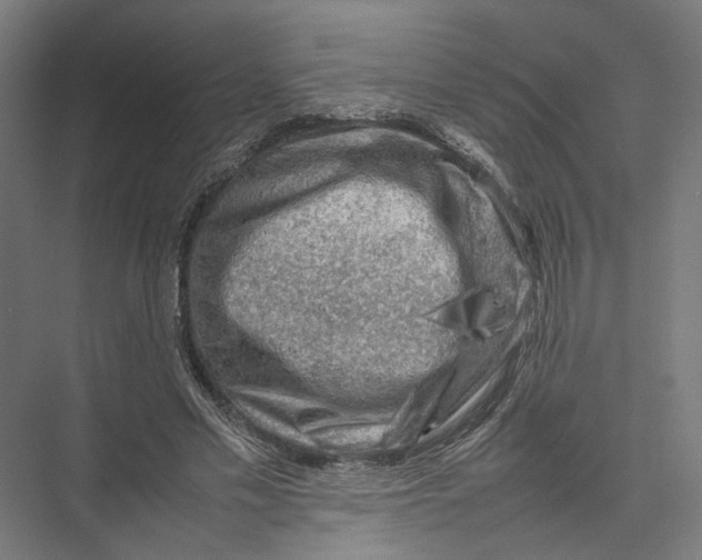 X0000075380589200610061841