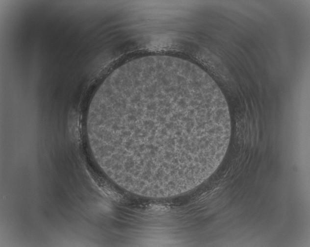 X0000075380592200610061841