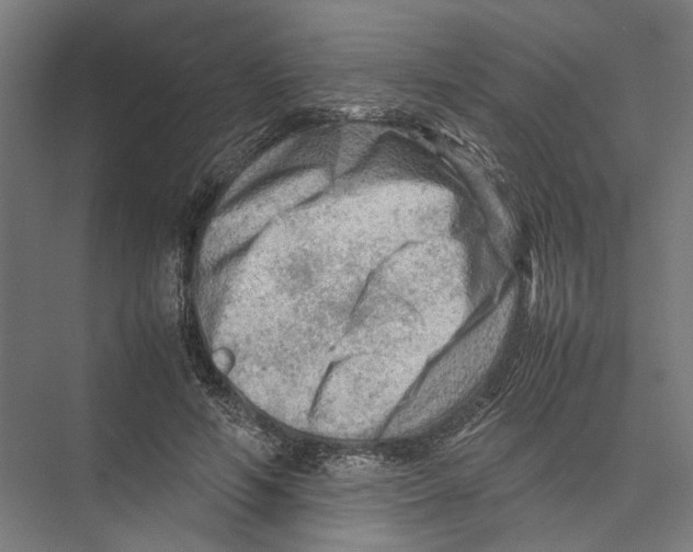 X0000075380594200610061841