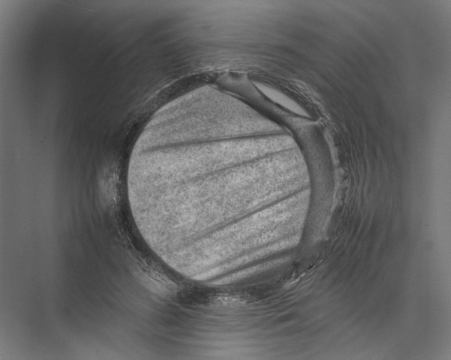 X0000075380596200610061841