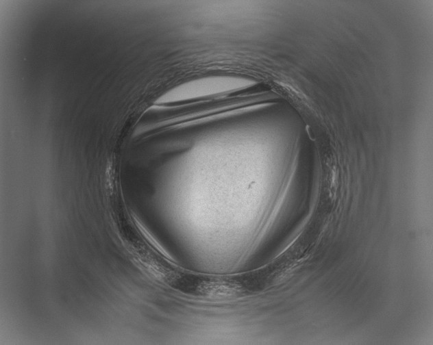 X0000075380597200610061841