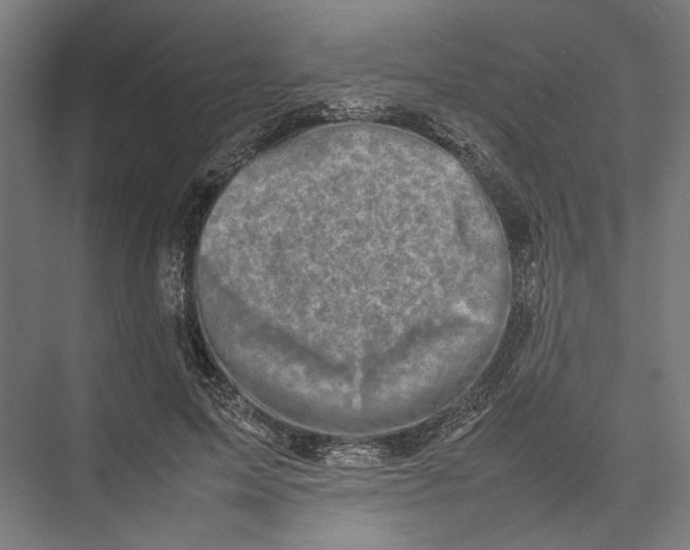 X0000075380599200610061841