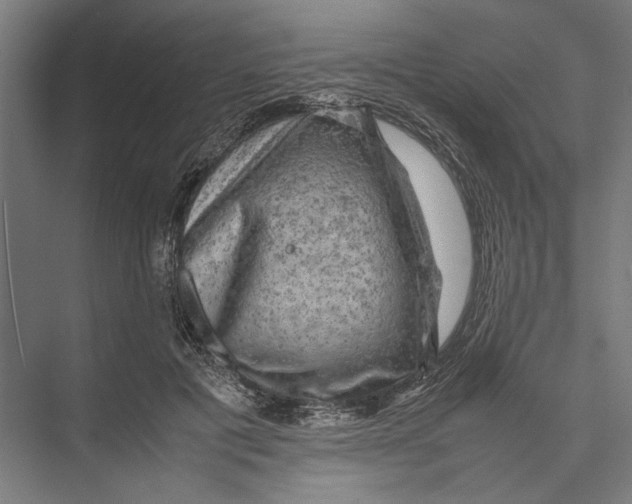 X0000075380601200610061841