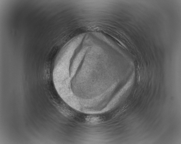 X0000075380602200610061841