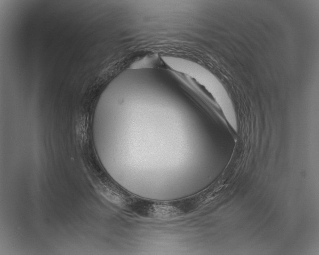 X0000075380605200610061841