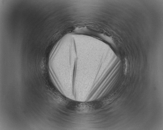 X0000075380608200610061840