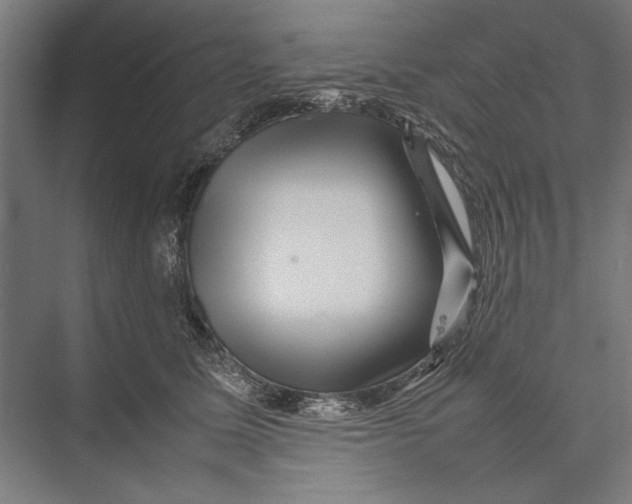 X0000075380611200610061840