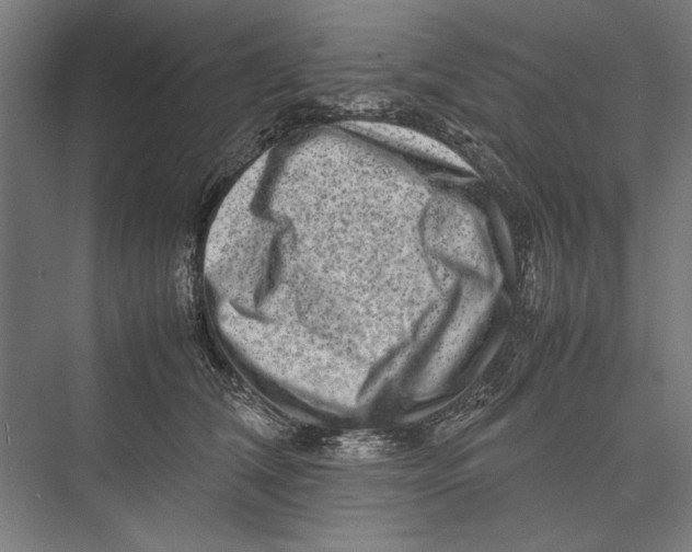 X0000075380612200610061840