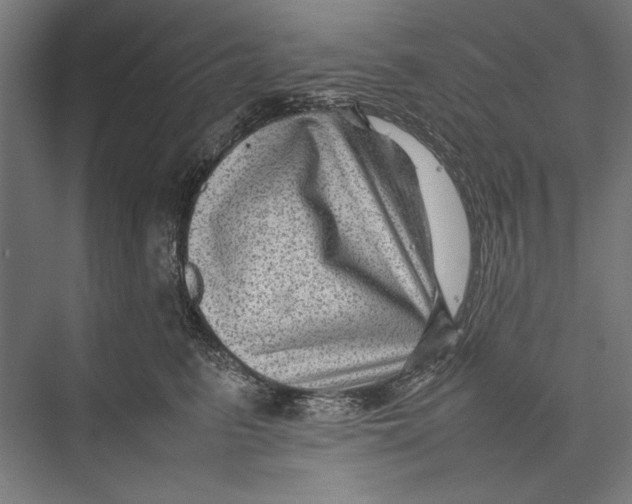 X0000075380615200610061840