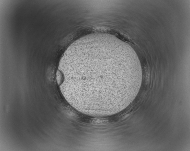 X0000075380619200610061840