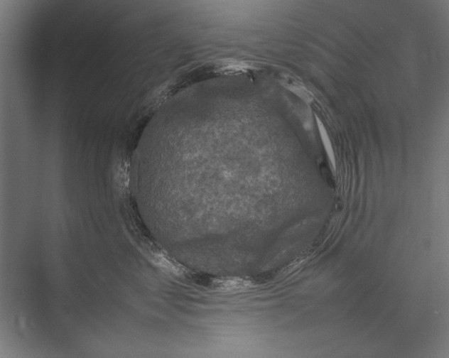 X0000075380621200610061840