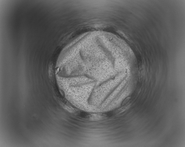 X0000075380623200610061840