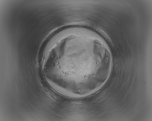 X0000075380628200610061839