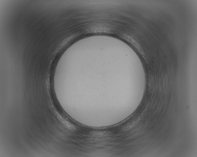 X0000075380629200610061839