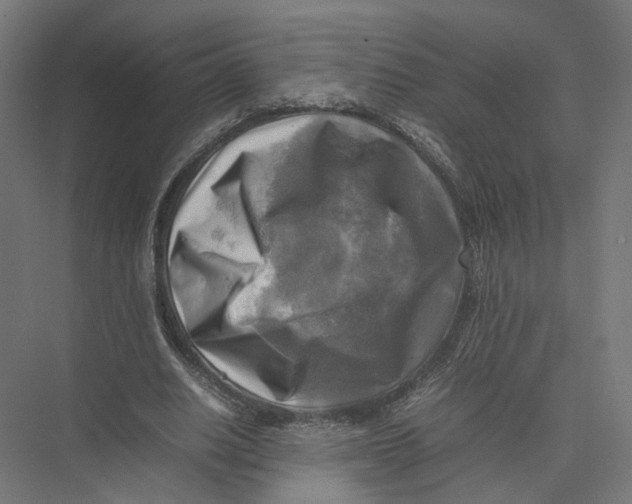 X0000075380630200610061840