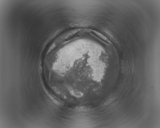 X0000075380634200610061840