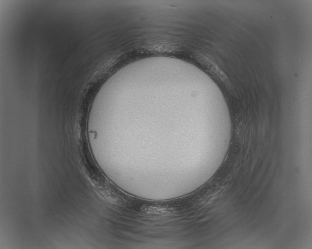 X0000075380635200610061840