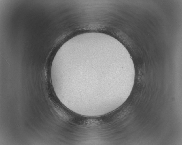 X0000075380636200610061840