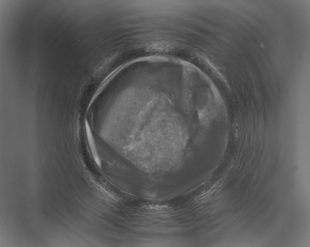 X0000075380637200610061840