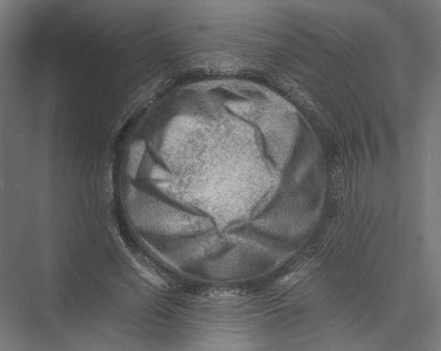 X0000075380638200610061840