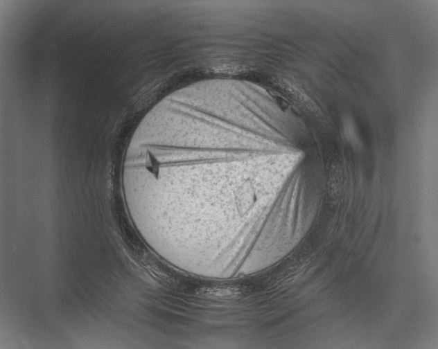 X0000075380639200610061840