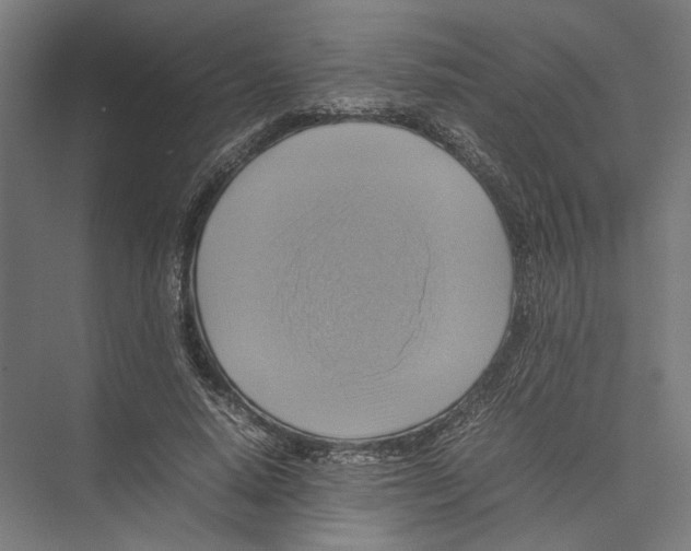 X0000075380640200610061840