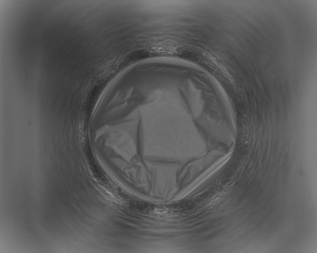 X0000075380641200610061840