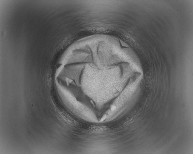 X0000075380642200610061840