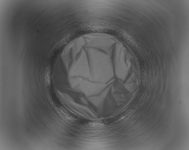 X0000075380644200610061840