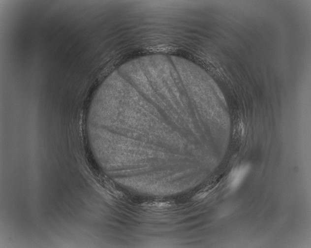 X0000075380647200610061840