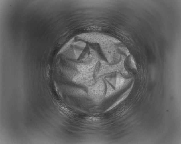 X0000075380649200610061840