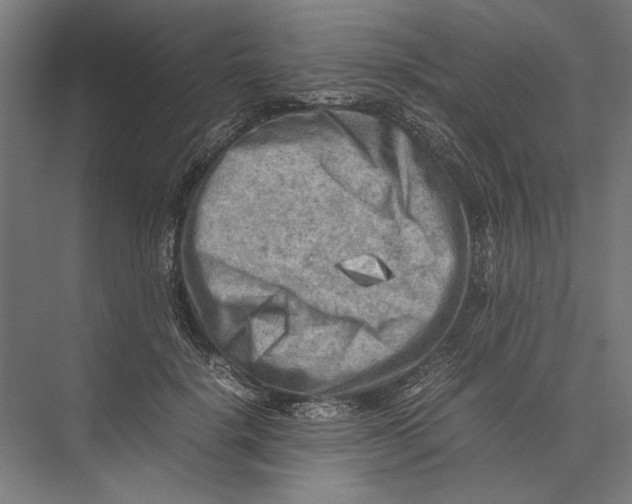 X0000075380652200610061840