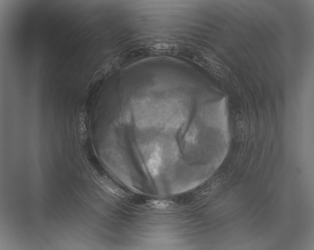 X0000075380654200610061840